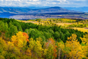 Colorado Veterans Day Deals